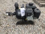 Pacer Pumps 2