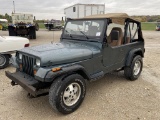 1993 Jeep Wrangler IST
