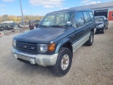 1995 Mitsubishi Montero IST