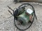 Electric Motor