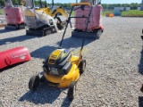 Cub Cadet Mower
