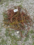 Extension Cords