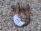 Medium Clevis