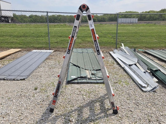 Little Giant Adjustable Step Ladder