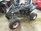 Yamaha Raptor 350 Special Edition