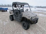 2006 Yamaha Rhino 660