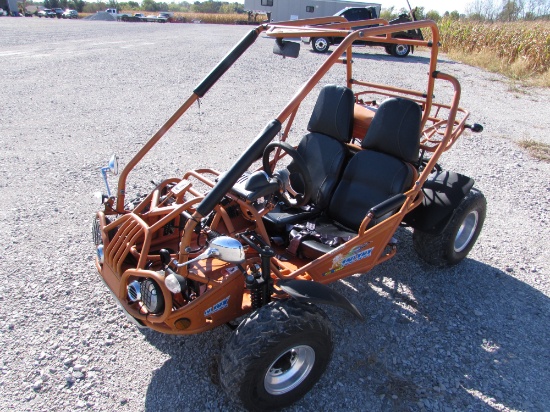 Trailmaster 150XRX Go Cart