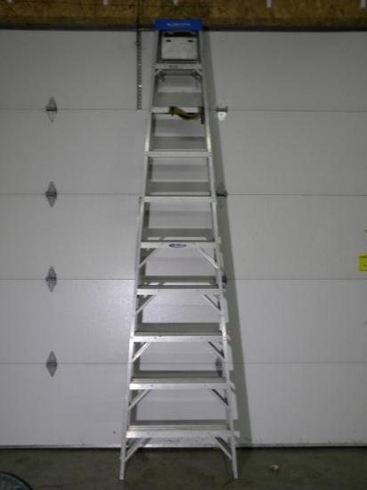 10 foot aluminum ladder