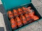 GREATBEAR RATCHET TIE DOWN & FLATPACK TOOLBOX, 16 PCS