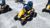 CUB CADET CC30 RIDING MOWER SN: 1E09NB20127