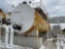 25,000 GALLON FUEL TANK BUYER MUST SUBMIT A CRANE REMOVAL