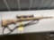 SAVAGE ARMS MODEL 10 .22-250 REMINGTON