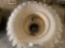 VOLVO WHEEL LOADER RIM AND TIRE, FOAM FILLED