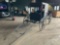 AMISH ENCLOSED HORSE DRAWN BUGGY WITH LIGHTS