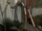 AIR HOSE