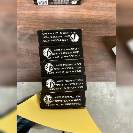 100 ROUNDS 223 BMZ