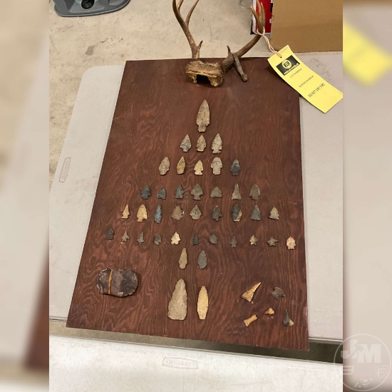 BOARD OF ARROW HEADS , ARTIFACTS AND ANTLERS