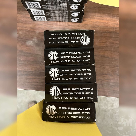 100 ROUNDS 223 BMZ