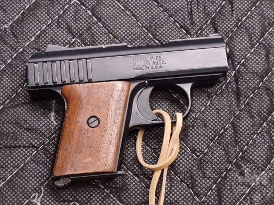 RAVEN ARMS MODEL P-25 .25 ACP SN: 641389