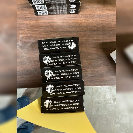 100 ROUNDS 223 BMZ
