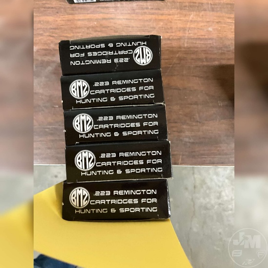 100 ROUNDS 223 BMZ