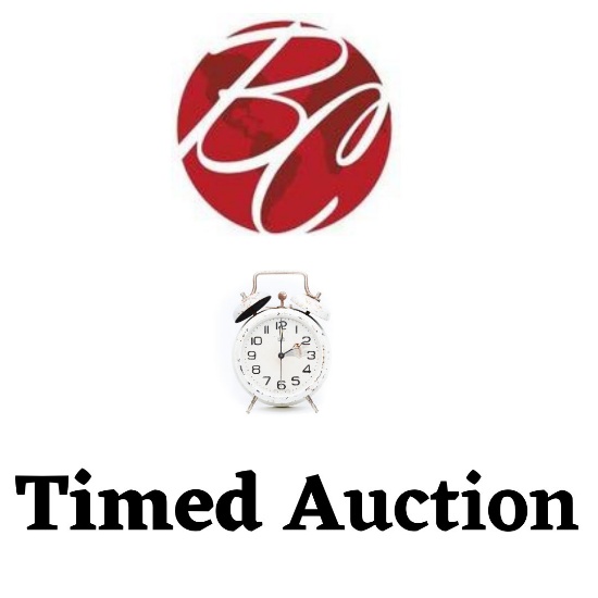 Amazon Surplus & Returns Timed Auction A1064