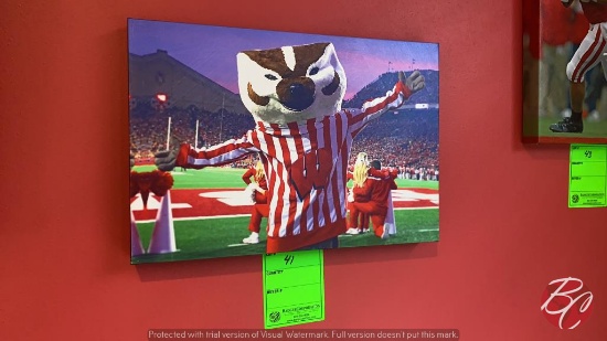 Wisconsin Badger Decor (See Picture)