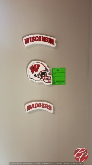 Wisconsin Badger Decor (See Picture)