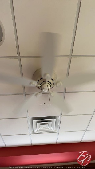 Ceiling Fan