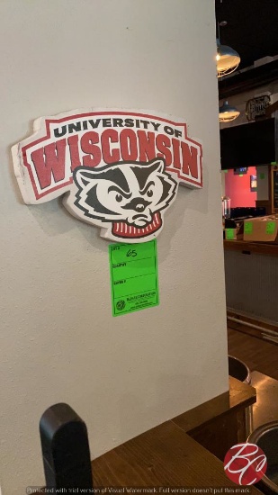 University Of Wisconsin "Bucky" Decor
