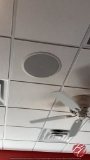 Ceiling Speaker