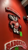 Wisconsin & Bucky Decor (See Picture)