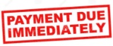 IMMEDIATE PAYMENT IS DUE WITHIN 24 HOURS OF THE