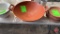 Coated Bowl W/ Handles 21