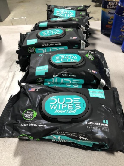 Dude Wipes Mint Chill