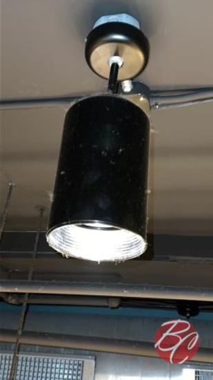 Black Pendant Ceiling Mounted Light Fixtures