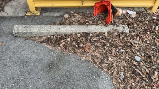 Concrete Parking Lot Curbs