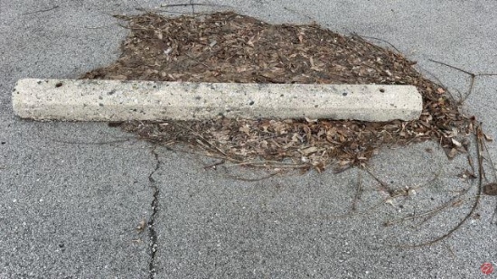 Concrete Parking Lot Curbs