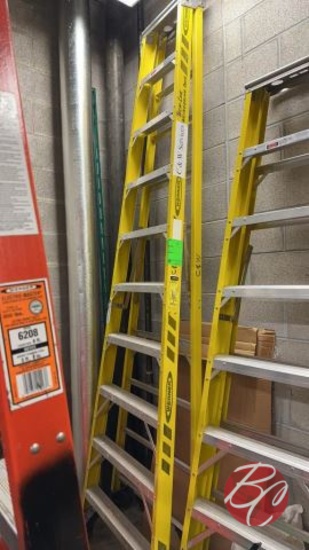 Werner Fiberglass Ladder 10'