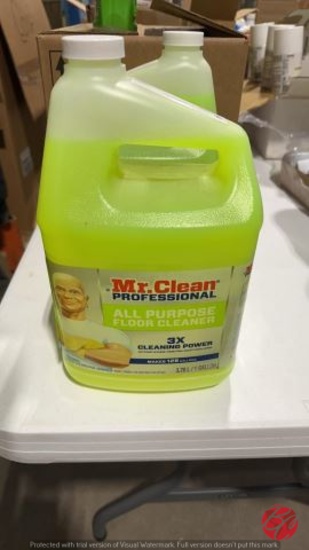 Mr. Clean Professional All Purpose Floor Cleaner