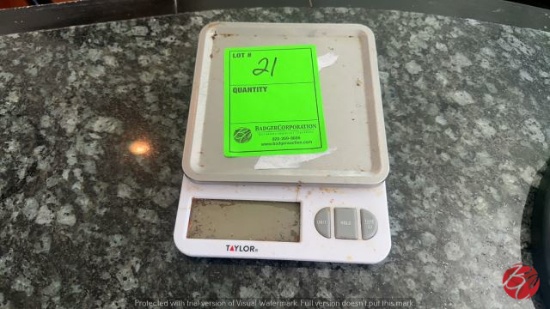 Taylor 5270842 Digital Scale