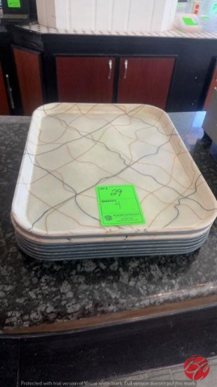 Lunch Trays