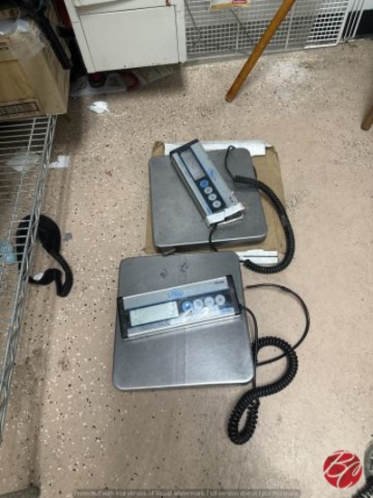 Adam Equipment CPWplus-series Digital Scales