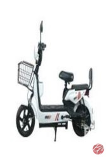 SDLanch High-End Two-Wheeled Electric Vehicle