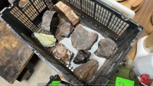 Collection Of Rough Rock Specimens (One Money)