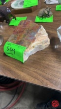 Arizona Rainbow Petrified Wood