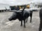 ALUMINUM LONGHORN YARD DECOR
