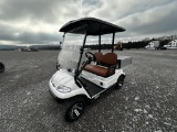 ICON LT-B627 2 SEATER UTILITY CART