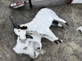 METAL GOAT FAMILY