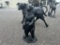 STANDING BEAR STATUE